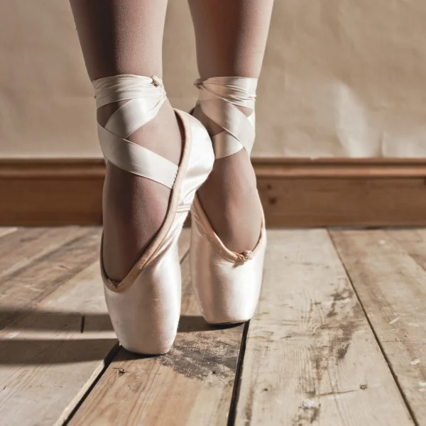 Ballet Shoe 